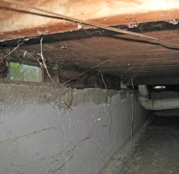 Crawl Space Water Extraction in Cascade Locks, OR