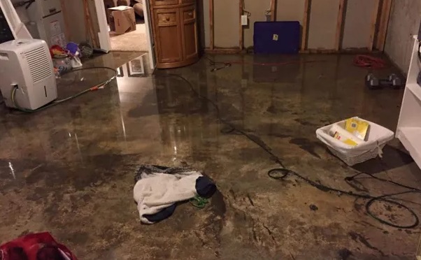 Same Day Water Removal in Gresham, OR