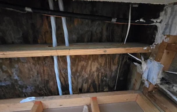 Attic Water Extraction in Gresham, OR