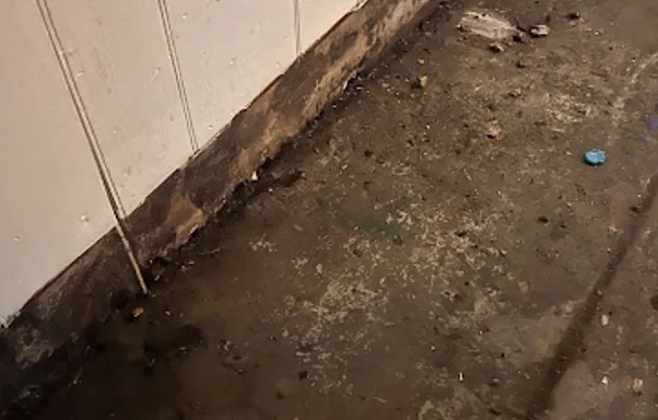 Black Water Extraction (Category 3) in Gresham, OR
