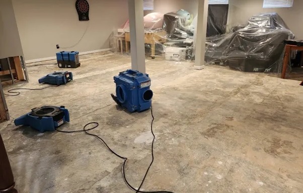 Dehumidification Services in Cascade Locks, OR